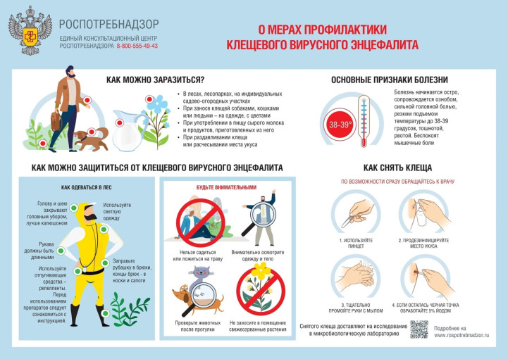 "О мерах профилактики клещевого вирусного энцефалита" "О мерах профилактики клещевого вирусного энцефалита".